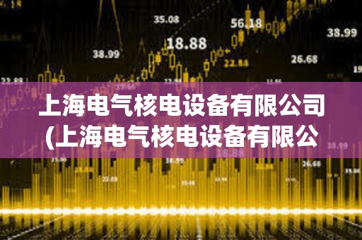 上海電氣核電設備有限公司(上海電氣核電設備有限公司是國企嗎)