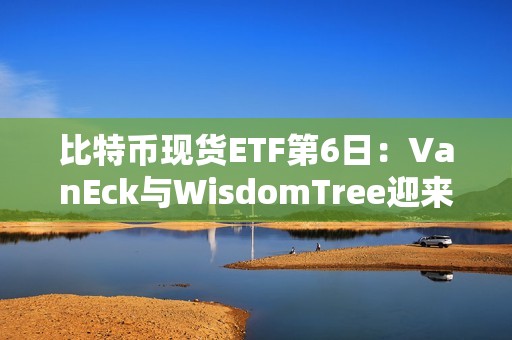 比特幣現貨ETF第6日：VanEck與WisdomTree迎來獲批后流入量最好的一天