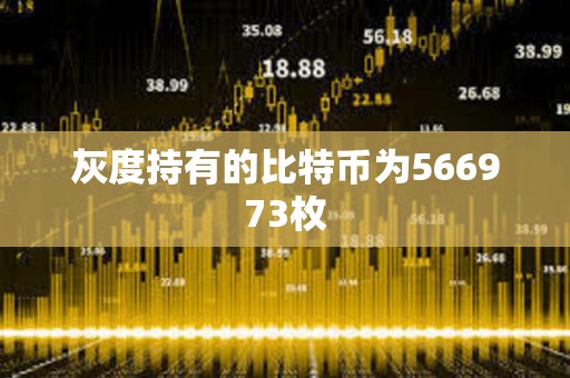 灰度持有的比特幣為566973枚