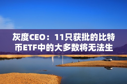 灰度CEO:11只獲批的比特幣ETF中的大多數將無法生存 灰度CEO:11只獲批的比特幣ETF中的大多數將無法生存