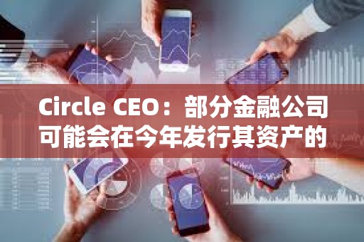 Circle CEO：部分金融公司可能會在今年發行其資產的代幣化版本