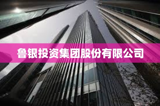 魯銀投資集團股份有限公司 魯銀投資集團股份有限公司