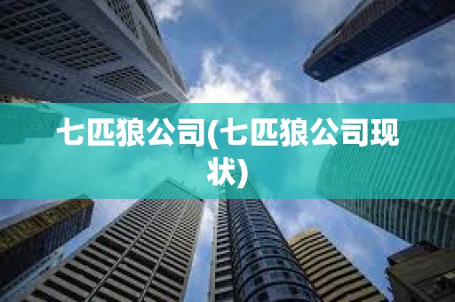 七匹狼公司(七匹狼公司現狀)