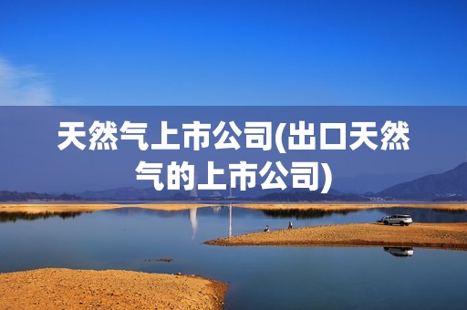 天然氣上市公司(出口天然氣的上市公司)