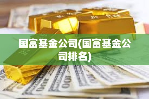 國富基金公司(國富基金公司排名)