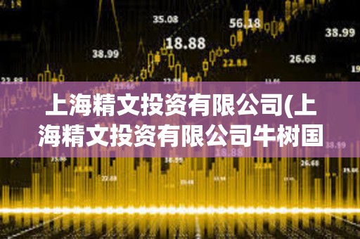 上海精文投資有限公司(上海精文投資有限公司牛樹國)