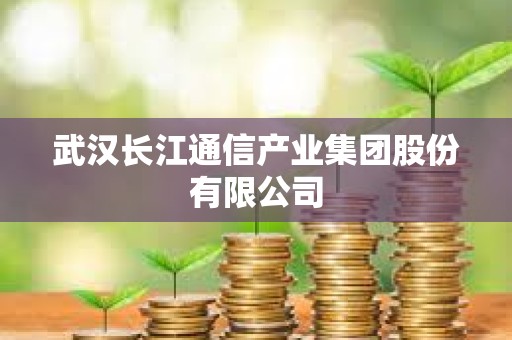 武漢長江通信產業集團股份有限公司 武漢長江通信產業集團股份有限公司