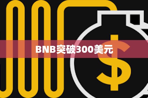 BNB突破300美元