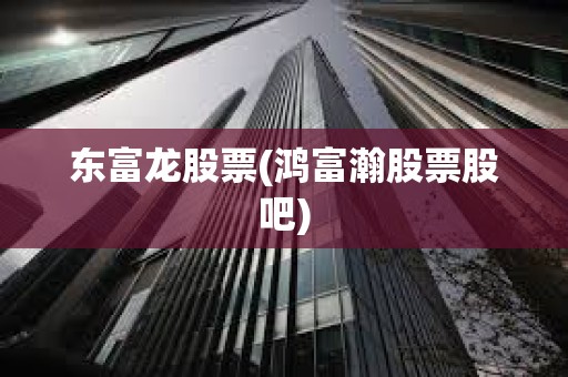 東富龍股票(鴻富瀚股票股吧)