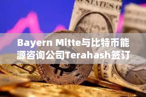 Bayern Mitte與比特幣能源咨詢公司Terahash簽訂合作協議