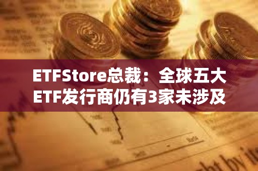 ETFStore總裁：全球五大ETF發(fā)行商仍有3家未涉及比特幣，道富出現(xiàn)“重大戰(zhàn)略誤判”