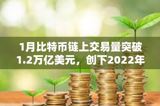 1月比特幣鏈上交易量突破1.2萬億美元，創下2022年9月以來最高