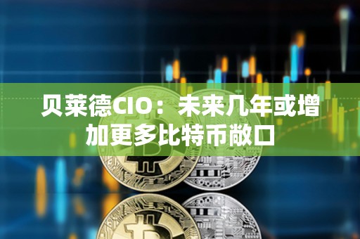 貝萊德CIO：未來幾年或增加更多比特幣敞口