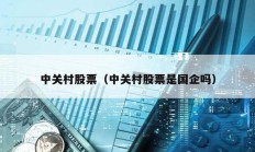 中關(guān)村股票（中關(guān)村股票是國企嗎）