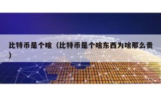 比特幣是個(gè)啥（比特幣是個(gè)啥東西為啥那么貴）