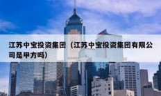 江蘇中寶投資集團（江蘇中寶投資集團有限公司是甲方嗎）