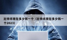 比特幣現在多少錢一個（比特幣現在多少錢一個2023）