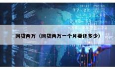 網貸兩萬（網貸兩萬一個月要還多少）