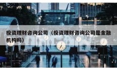 投資理財咨詢公司（投資理財咨詢公司是金融機構嗎）