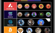 Meme新玩法：Web3項目創始人們的寵物