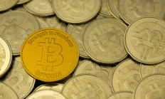 ws幣 價格,wsm幣是割韭菜幣