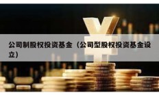 公司制股權(quán)投資基金（公司型股權(quán)投資基金設(shè)立）