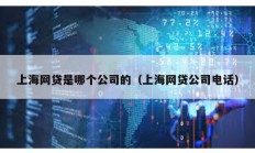 上海網貸是哪個公司的（上海網貸公司電話）