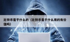 比特幣是干什么的（比特幣是干什么用的有價值嗎）