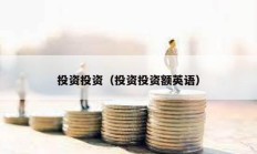 投資投資（投資投資額英語）