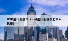 USD是什么貨幣（usd是什么貨幣匯率人民幣）