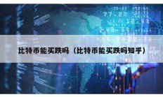 比特幣能買跌嗎（比特幣能買跌嗎知乎）