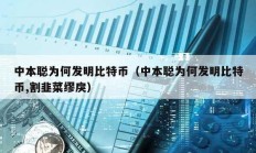 中本聰為何發明比特幣（中本聰為何發明比特幣,割韭菜繆戾）