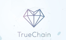 初鏈幣價格,比特幣價值翻了多少倍