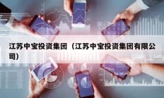 江蘇中寶投資集團（江蘇中寶投資集團有限公司）