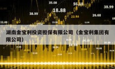 湖南金寶利投資擔保有限公司（金寶利集團有限公司）