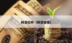 網(wǎng)貸紅嶺（網(wǎng)貸老哥）
