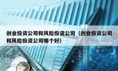 創業投資公司和風險投資公司（創業投資公司和風險投資公司哪個好）