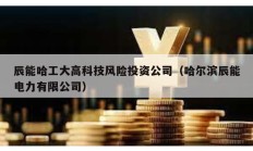 辰能哈工大高科技風(fēng)險投資公司（哈爾濱辰能電力有限公司）