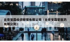 北京寶霖投資擔保有限公司（北京寶霖堂醫藥有限公司）
