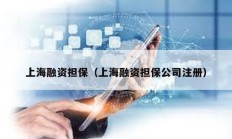 上海融資擔保（上海融資擔保公司注冊）