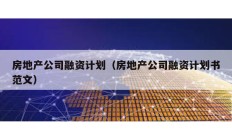 房地產(chǎn)公司融資計劃（房地產(chǎn)公司融資計劃書范文）