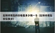 比特幣現(xiàn)在的價格是多少錢一個（比特幣現(xiàn)在價位多少）