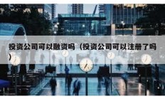 投資公司可以融資嗎（投資公司可以注冊了嗎）