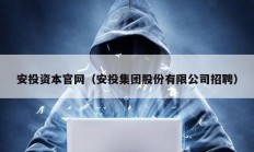 安投資本官網（安投集團股份有限公司招聘）