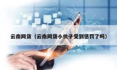 云南網貸（云南網貸小伙子受到懲罰了嗎）
