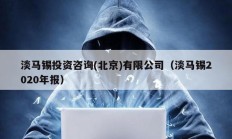 淡馬錫投資咨詢(北京)有限公司（淡馬錫2020年報(bào)）