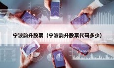 寧波韻升股票（寧波韻升股票代碼多少）