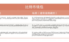 比特幣錢包的私鑰,比特幣錢包私鑰是什么?
