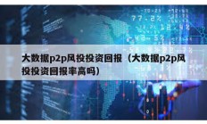 大數據p2p風投投資回報（大數據p2p風投投資回報率高嗎）