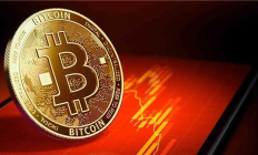 幣網(wǎng)價格,一塵網(wǎng)泰山幣最新價格